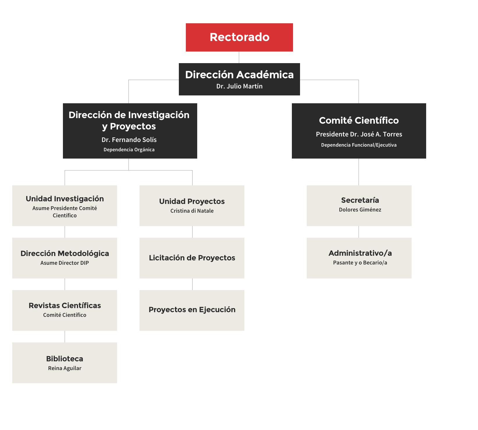 Organigrama Dirección de Investigación y Proyectos