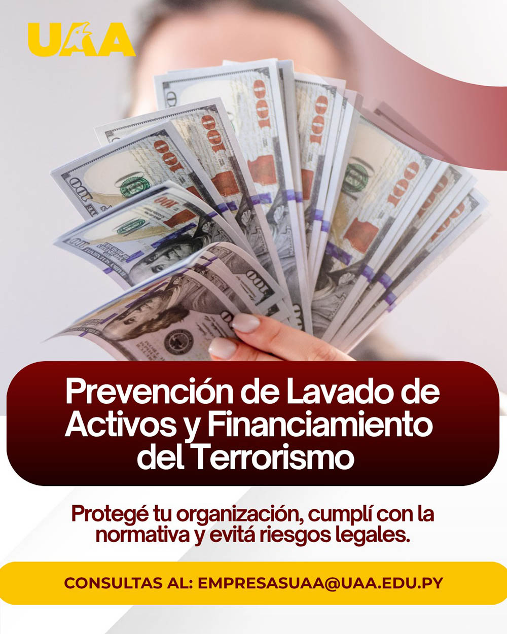 Ventas Digitales y Meta Ads UAA