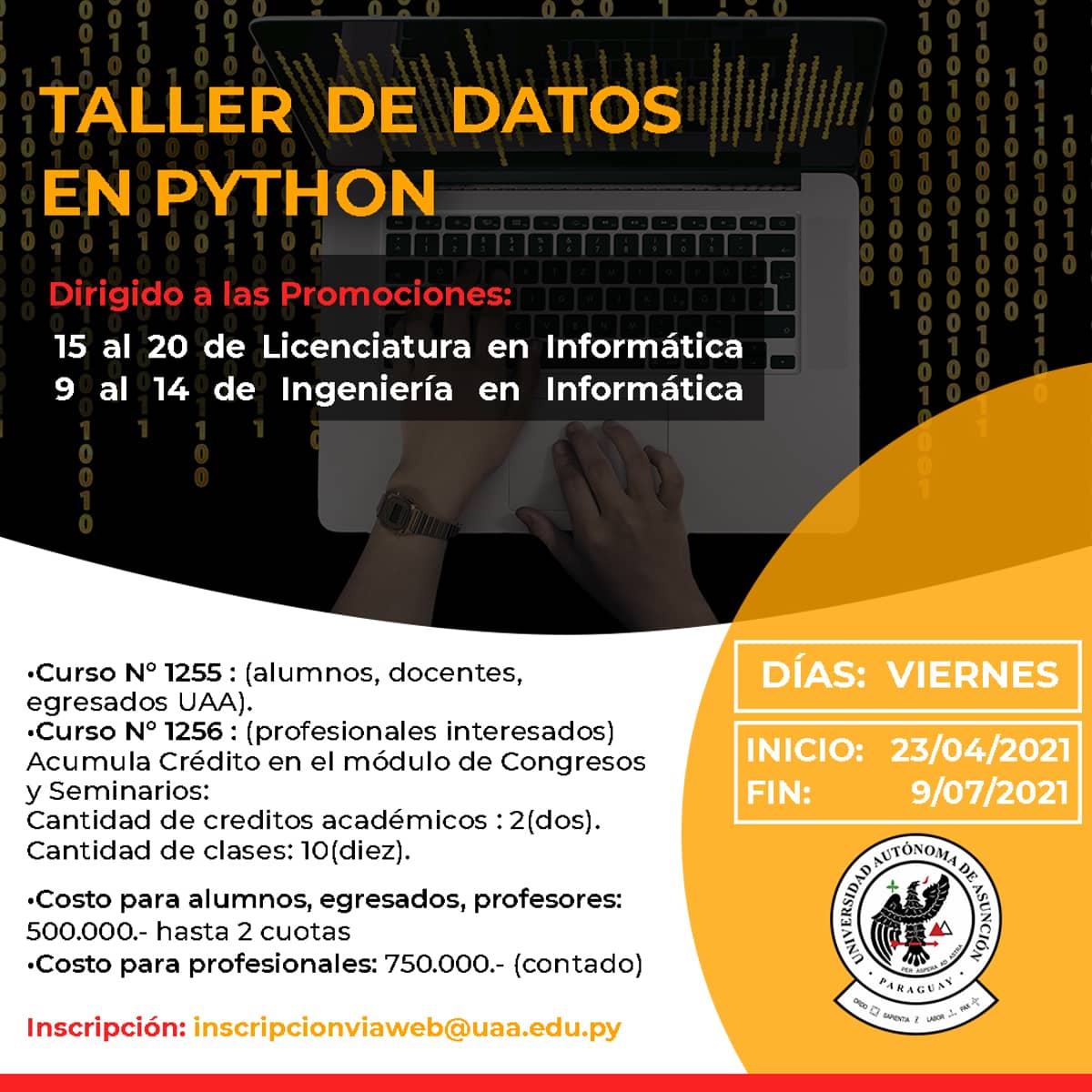 taller python.jpg