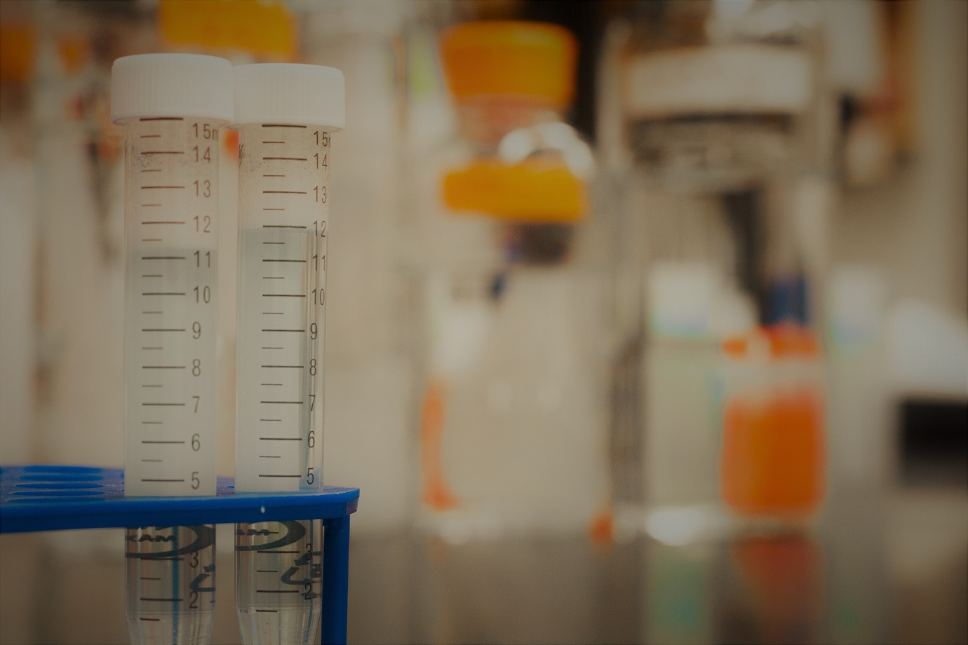 bg-ciencia (2).jpg