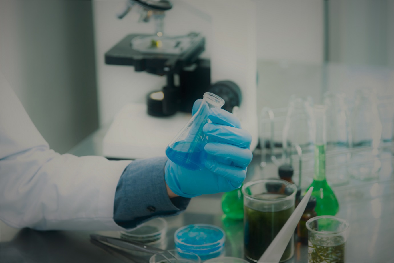 bg-ciencia.jpg