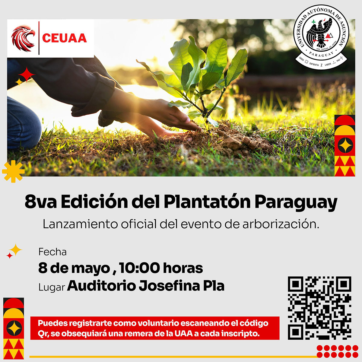 plantaton.jpg