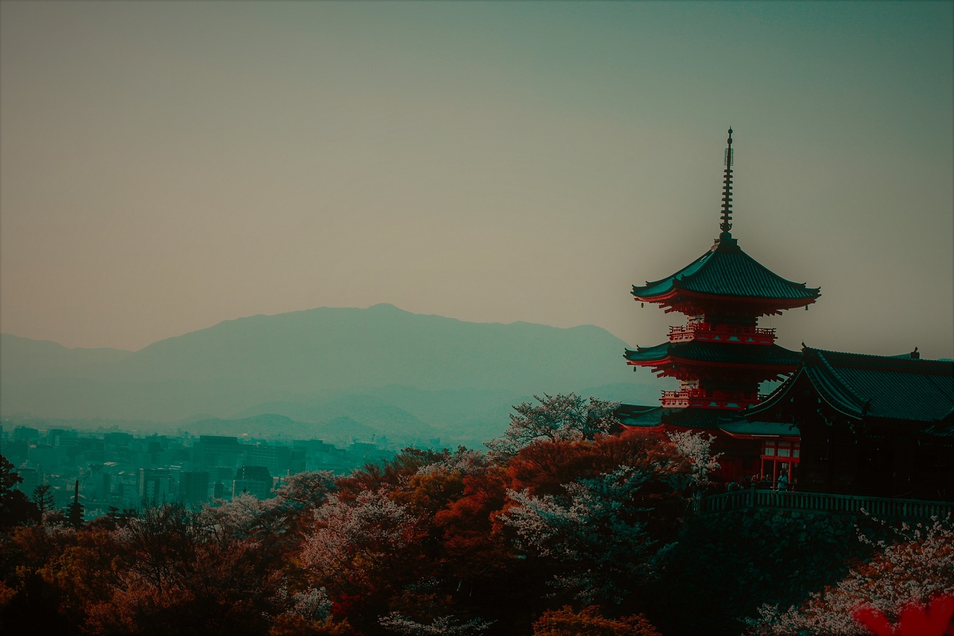 bg-asia (2).jpg